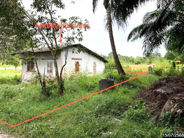 บ้านเดี่ยว 73.5 ตร.วา ชะอวด นครศรีธรรมราช 920,000