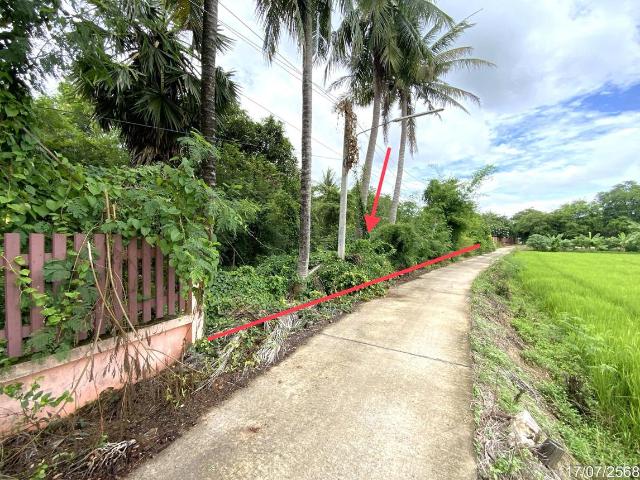 บ้านเดี่ยว 726 ตร.วา ค่ายบางระจัน สิงห์บุรี 1.1M