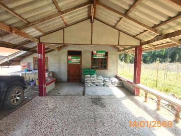 บ้านเดี่ยว 72 ตร.วา คลองท่อม กระบี่ 1.2M