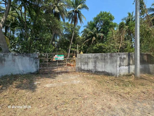 บ้านเดี่ยว 7440 ตร.วา เก้าเลี้ยว นครสวรรค์ 2.3M