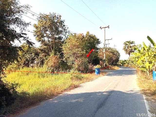 บ้านเดี่ยว 796 ตร.วา พิมาย นครราชสีมา 1.7M