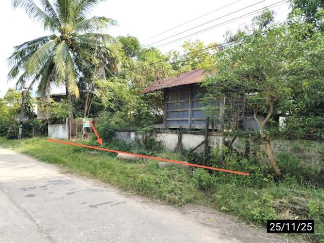 บ้านเดี่ยว 79 ตร.วา เมืองขอนแก่น ขอนแก่น 682,000