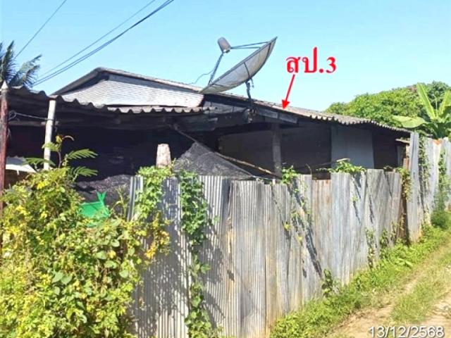 บ้านเดี่ยว 83 ตร.วา เชียงดาว เชียงใหม่ 1.3M