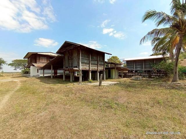 บ้านเดี่ยว 852 ตร.วา พยัคฆภูมิพิสัย มหาสารคาม 1.8M