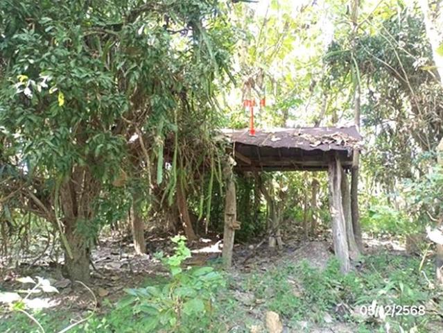 บ้านเดี่ยว 853 ตร.วา พาน เชียงราย 1.1M
