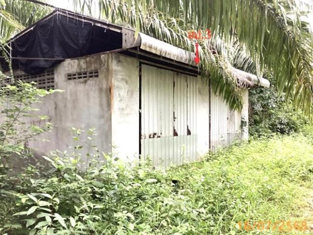บ้านเดี่ยว 8712 ตร.วา ตะกั่วป่า พังงา 6.4M