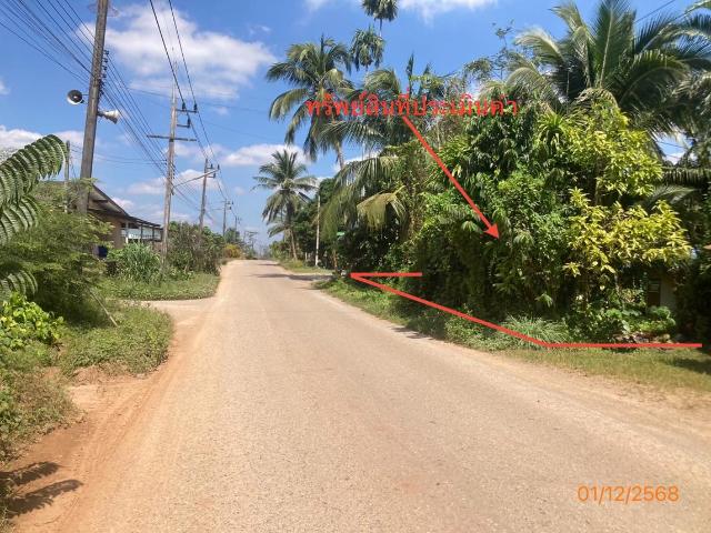 บ้านเดี่ยว 89.4 ตร.วา พระแสง สุราษฎร์ธานี 1.1M