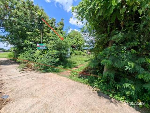 บ้านเดี่ยว 90 ตร.วา เมืองสกลนคร สกลนคร 563,000