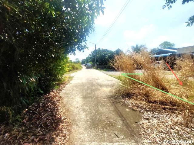บ้านเดี่ยว 100 ตร.วา หนองแค สระบุรี 1.2M