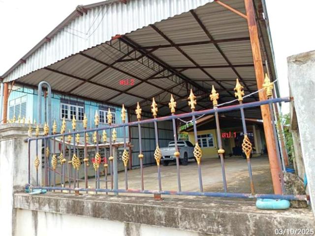 บ้านเดี่ยว 100 ตร.วา หนองกี่ บุรีรัมย์ 1.6M