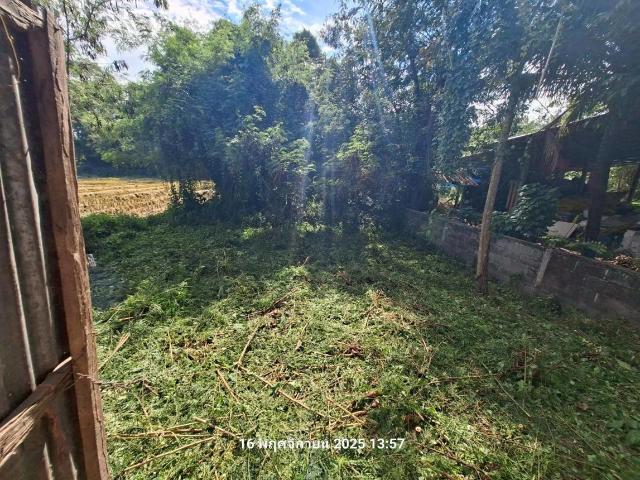 บ้านเดี่ยว 100 ตร.วา หนองไผ่ เพชรบูรณ์ 323,000