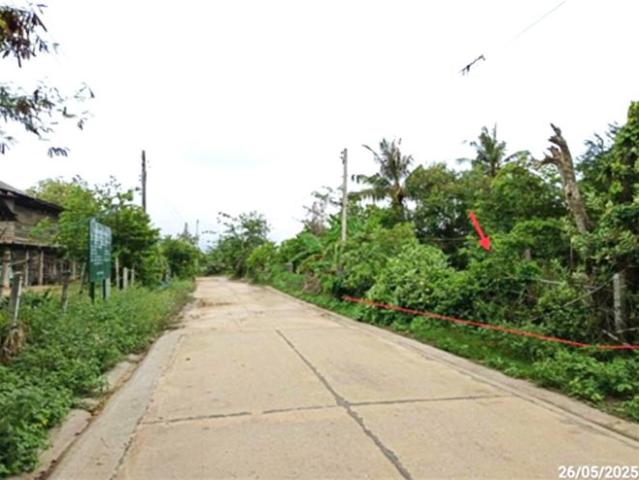 บ้านเดี่ยว 100 ตร.วา ประทาย นครราชสีมา 353,000