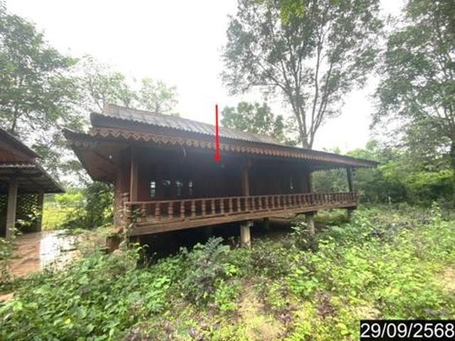 บ้านเดี่ยว 1023 ตร.วา ท่าบ่อ หนองคาย 2.7M