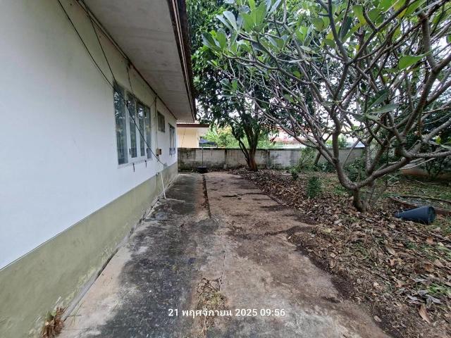 บ้านเดี่ยว 102 ตร.วา ธาราฟ้าใส พันดารา เมืองสระบุรี สระบุรี 2.3M