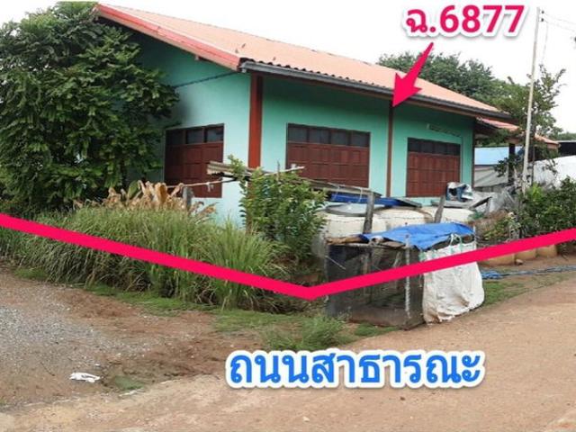 บ้านเดี่ยว 102 ตร.วา อำเภอคง นครราชสีมา 744,000
