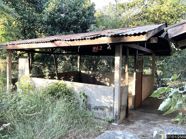 บ้านเดี่ยว 1081.4 ตร.วา ภูเวียง ขอนแก่น 1.4M