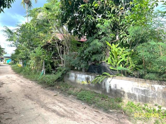 บ้านเดี่ยว 108 ตร.วา โพธิ์ศรีสุวรรณ ศรีสะเกษ 1M