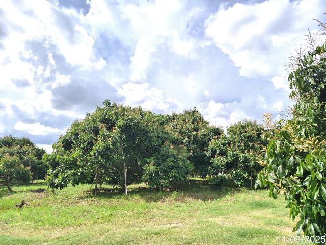 บ้านเดี่ยว 11470 ตร.วา สอยดาว จันทบุรี 8.7M