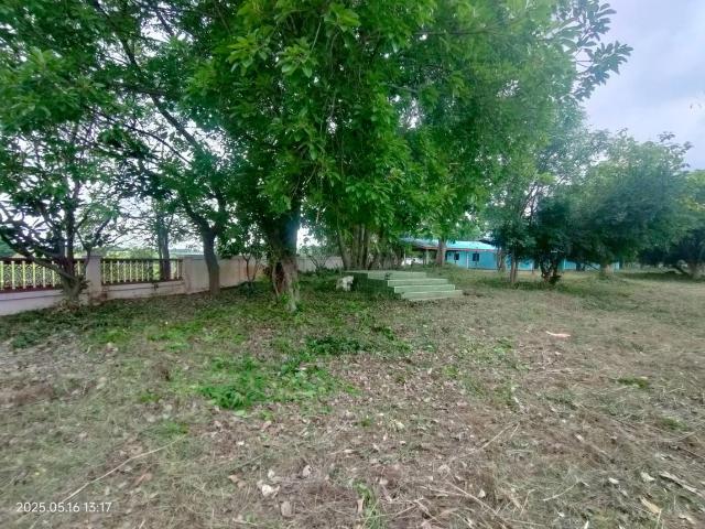 บ้านเดี่ยว 1143 ตร.วา อู่ทอง สุพรรณบุรี 3.2M