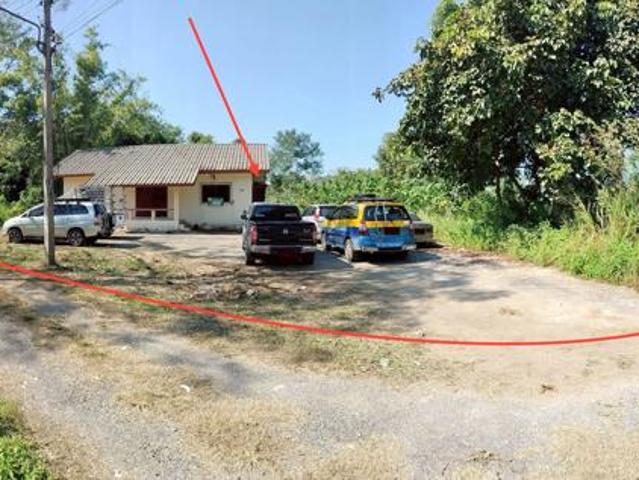 บ้านเดี่ยว 1161.4 ตร.วา เมืองเชียงราย เชียงราย 11M