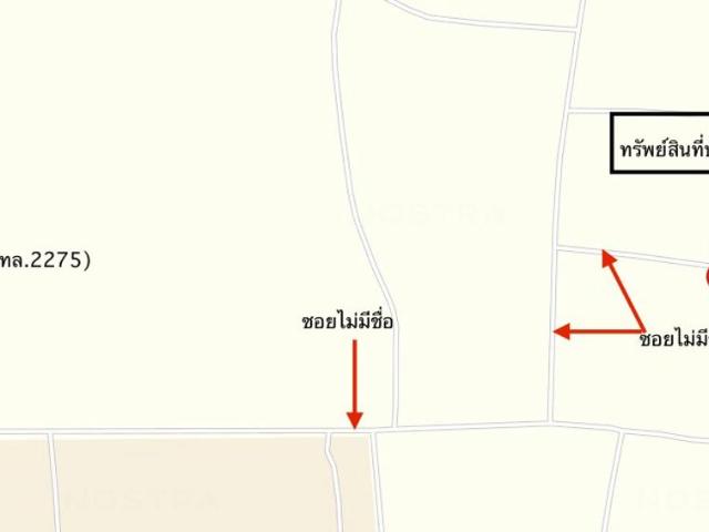 บ้านเดี่ยว 116 ตร.วา ชัยบาดาล ลพบุรี 363,000
