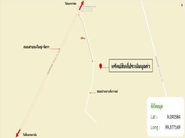 บ้านเดี่ยว 1200 ตร.วา เมืองสุราษฎร์ธานี สุราษฎร์ธานี 11.2M