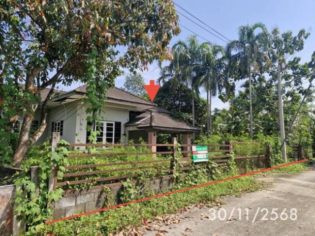 บ้านเดี่ยว 128 ตร.วา ทุ่งสง นครศรีธรรมราช 2.5M