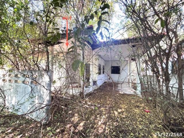 บ้านเดี่ยว 130 ตร.วา โคกสำโรง ลพบุรี 729,000