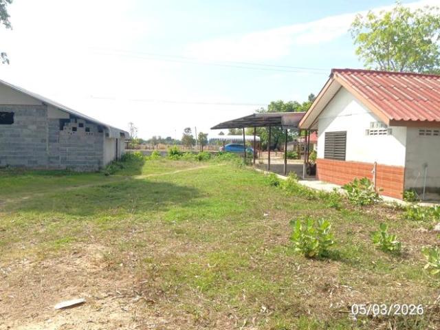บ้านเดี่ยว 1327 ตร.วา ปราสาท สุรินทร์ 2M