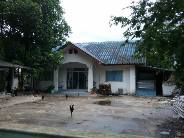 บ้านเดี่ยว 132.4 ตร.วา บ้านสันติ อำเภอสันกำแพง จังหวัดเชียงใหม่ 2.6M