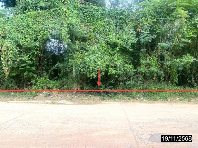 บ้านเดี่ยว 14725.3 ตร.วา เมืองกาฬสินธุ์ กาฬสินธุ์ 28.4M