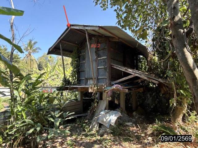 บ้านเดี่ยว 152 ตร.วา หนองกุงศรี กาฬสินธุ์ 1.1M
