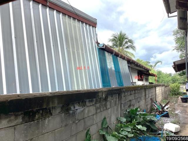 บ้านเดี่ยว 154 ตร.วา กุมภวาปี อุดรธานี 1.6M