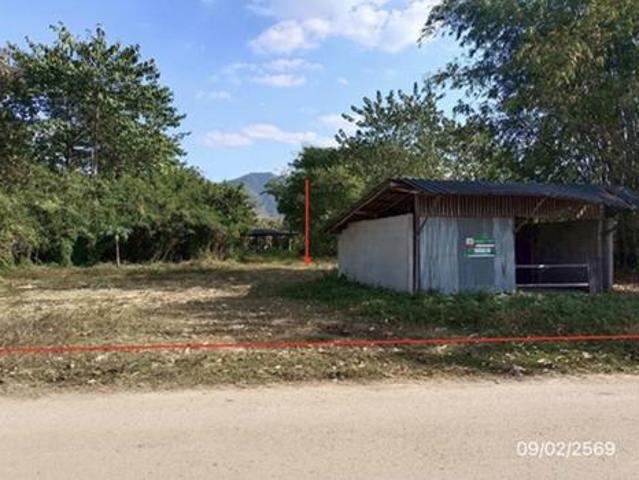 บ้านเดี่ยว 1576 ตร.วา ดอกคำใต้ พะเยา 993,000