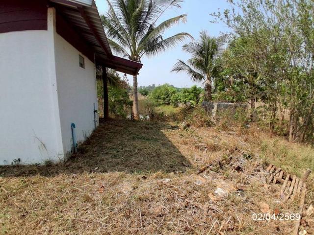 บ้านเดี่ยว 1600 ตร.วา เลิงนกทา ยโสธร 4.6M