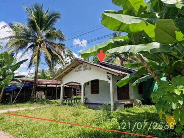 บ้านเดี่ยว 161.6 ตร.วา กันตัง ตรัง 1.2M