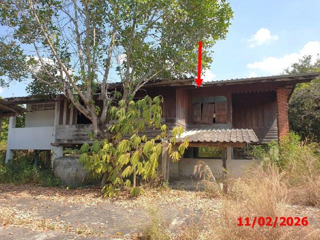 บ้านเดี่ยว 1634 ตร.วา ลี้ ลำพูน 1.4M