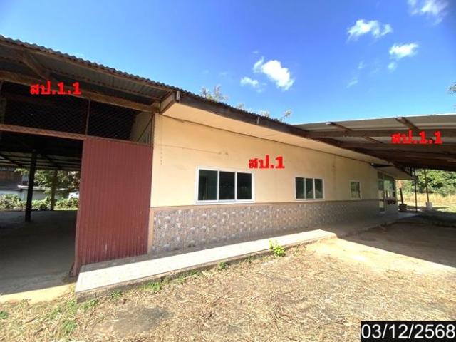 บ้านเดี่ยว 1639 ตร.วา ศรีธาตุ อุดรธานี 7.5M