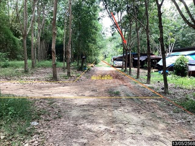 บ้านเดี่ยว 16600 ตร.วา เมืองบึงกาฬ บึงกาฬ 9.3M