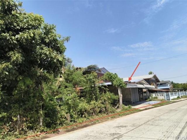 บ้านเดี่ยว 166 ตร.วา สนม สุรินทร์ 909,000