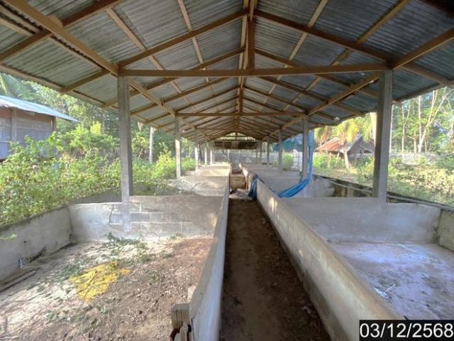 บ้านเดี่ยว 17362 ตร.วา ประจักษ์ศิลปาคม อุดรธานี 12.8M