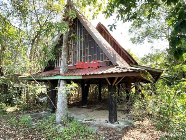 บ้านเดี่ยว 1774 ตร.วา เมืองบึงกาฬ บึงกาฬ 7.1M