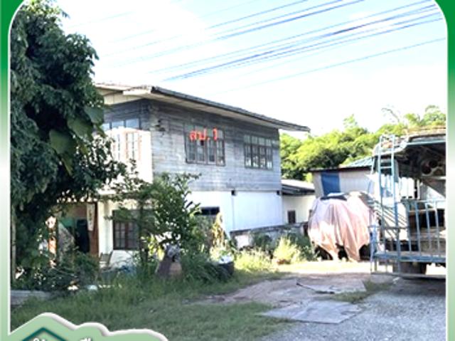 บ้านเดี่ยว 178 ตร.วา ภูเขียว ชัยภูมิ 1.6M