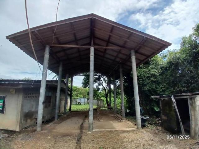 บ้านเดี่ยว 179.3 ตร.วา บ้านโฮ่ง ลำพูน 759,000