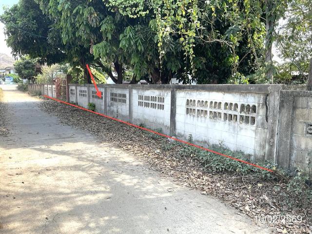 บ้านเดี่ยว 179 ตร.วา ดอกคำใต้ พะเยา 1.4M