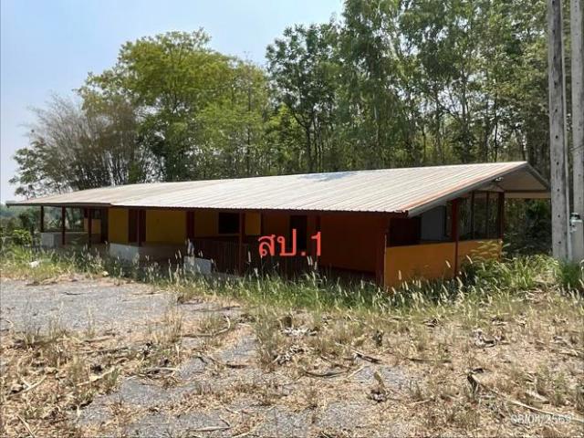 บ้านเดี่ยว 1815 ตร.วา หนองหิน เลย 1.7M
