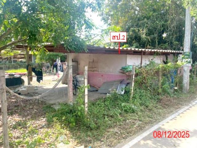 บ้านเดี่ยว 184 ตร.วา เมืองลำพูน ลำพูน 2.2M