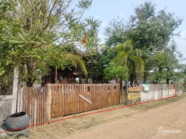 บ้านเดี่ยว 186 ตร.วา ธาตุพนม นครพนม 1.3M