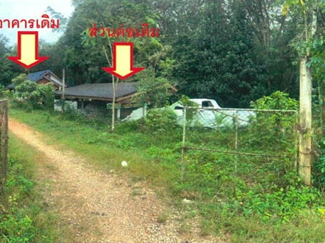 บ้านเดี่ยว 193 ตร.วา อำเภอป่าบอน จังหวัดพัทลุง 1.1M