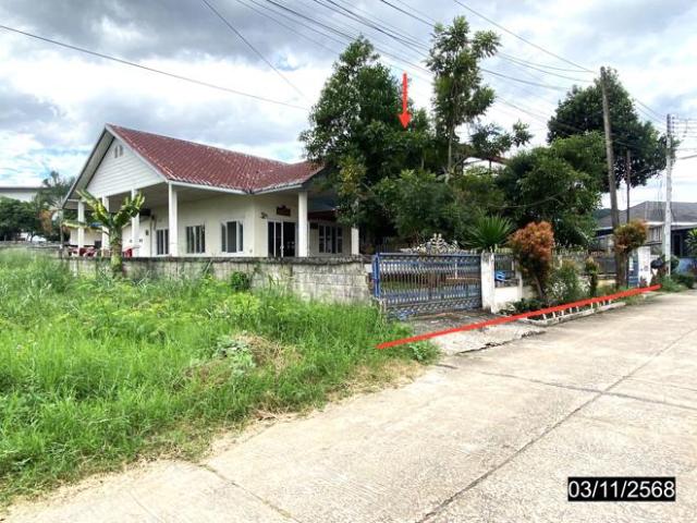 บ้านเดี่ยว 197 ตร.วา เมืองเลย เลย 4.4M